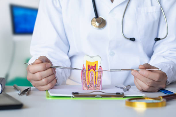 Best Knocked-Out Tooth (Avulsed Tooth) Treatment in Paradise Hills, NM